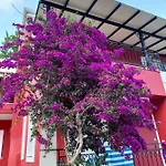 Red * Nydri (Lefkada)